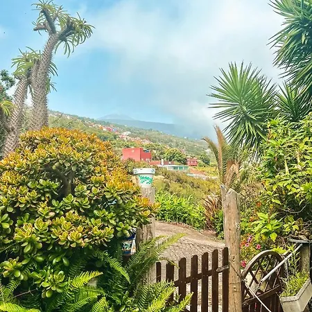 Canarian With Terrace Surrounded By Garden - Alisios Ferienhaus *